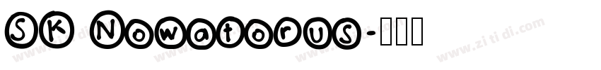 SK Nowatorus字体转换